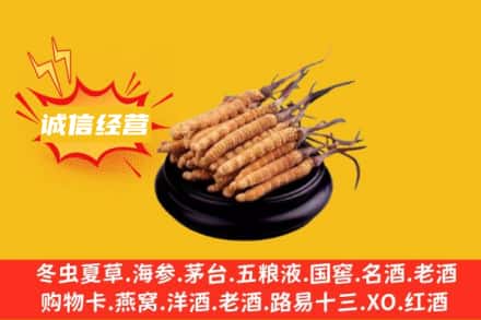 平顶山回收冬虫夏草